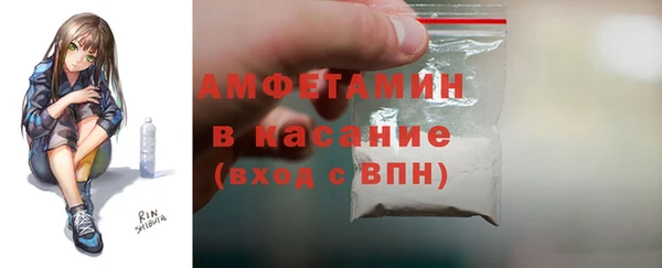 ECSTASY Богданович